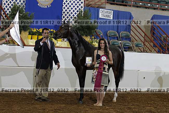 Proof 11r12_0342