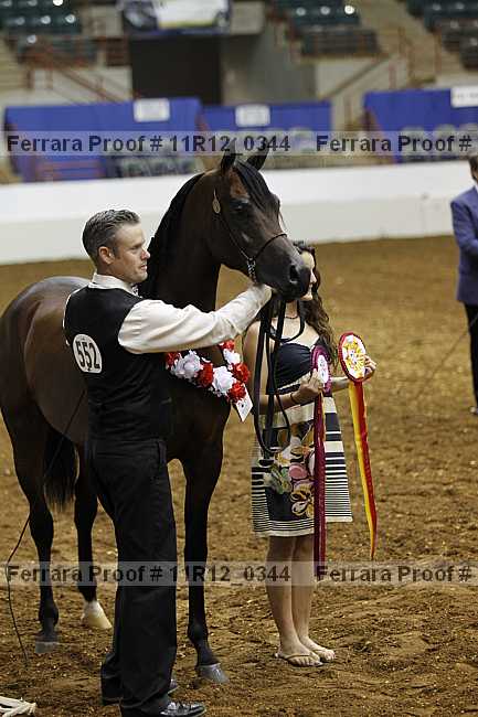 Proof 11r12_0344