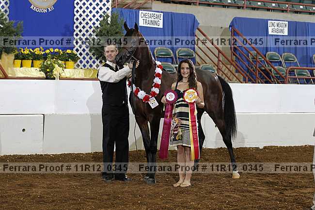 Proof 11r12_0345