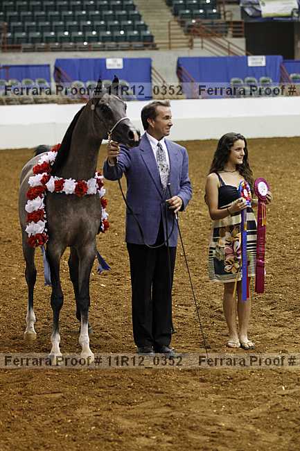 Proof 11r12_0352