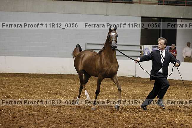 Proof 11r12_0356