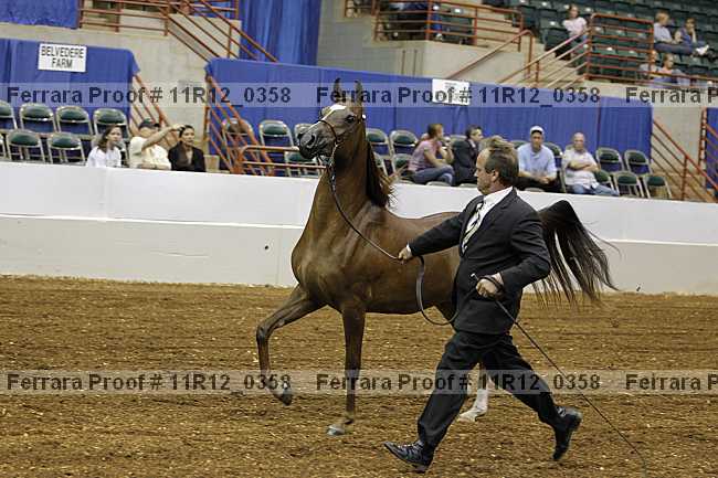 Proof 11r12_0358