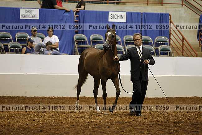 Proof 11r12_0359