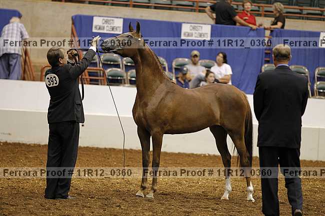 Proof 11r12_0360