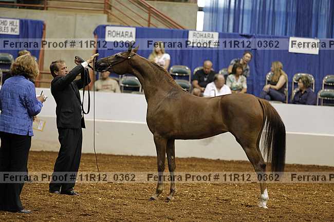 Proof 11r12_0362