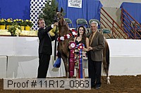 11r12_0363 proof