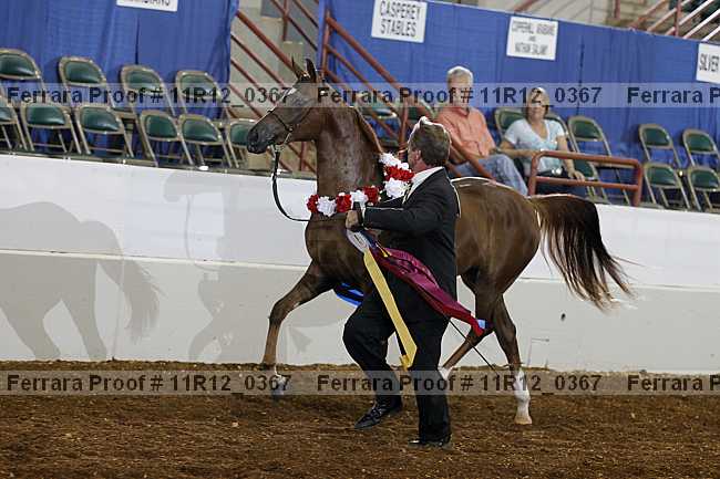 Proof 11r12_0367