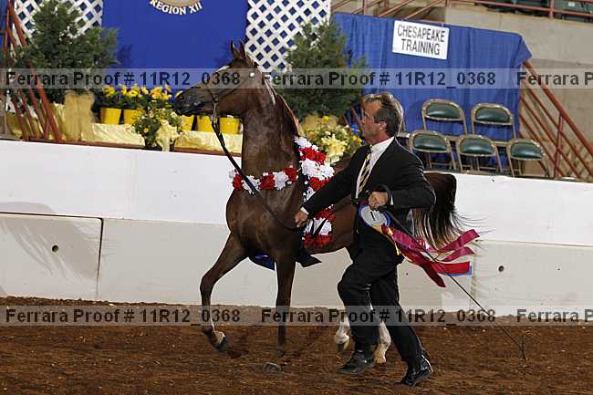 Proof 11r12_0368