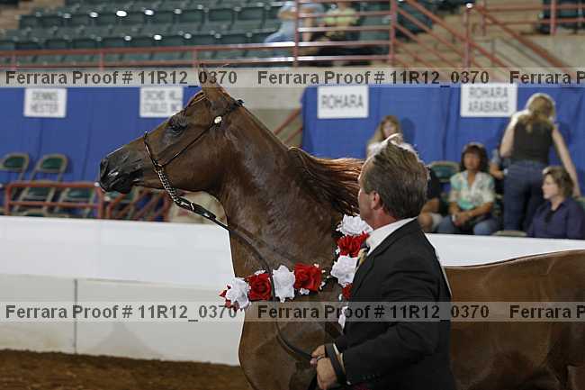 Proof 11r12_0370