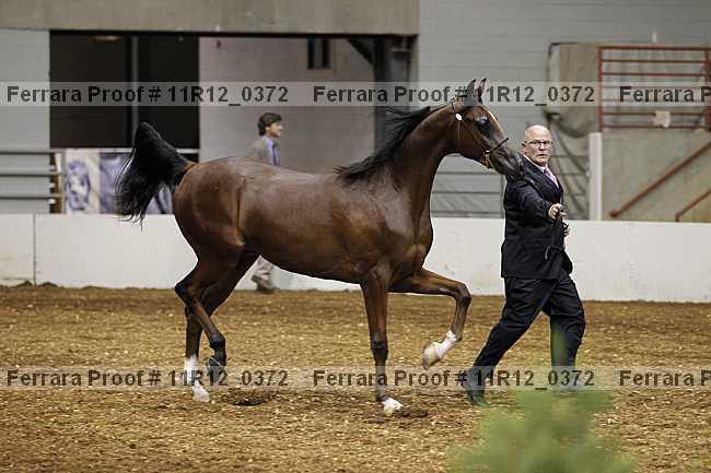 Proof 11r12_0372