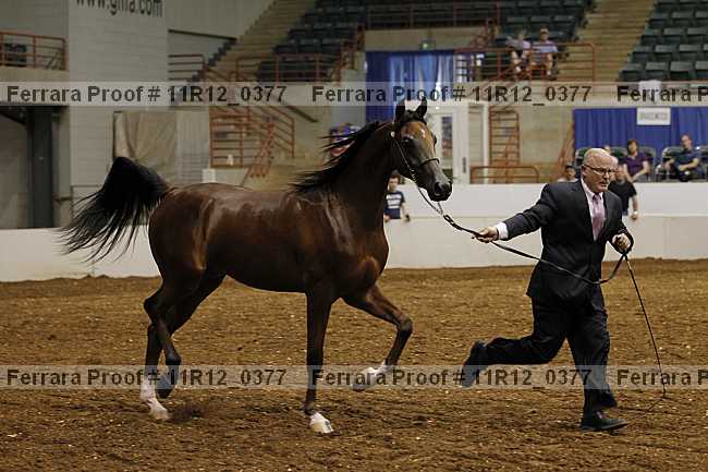 Proof 11r12_0377