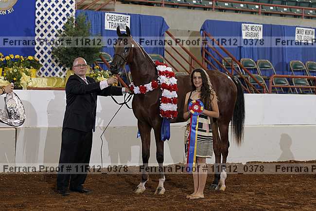Proof 11r12_0378