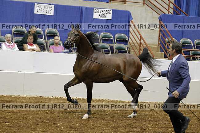 Proof 11r12_0380