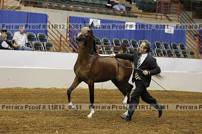 Proof 11r12_0381
