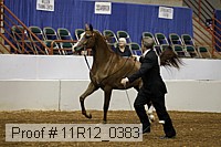 11r12_0383 proof
