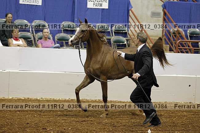 Proof 11r12_0384