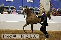 11r12_0384 proof
