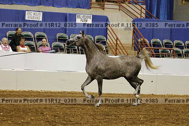 Proof 11r12_0385