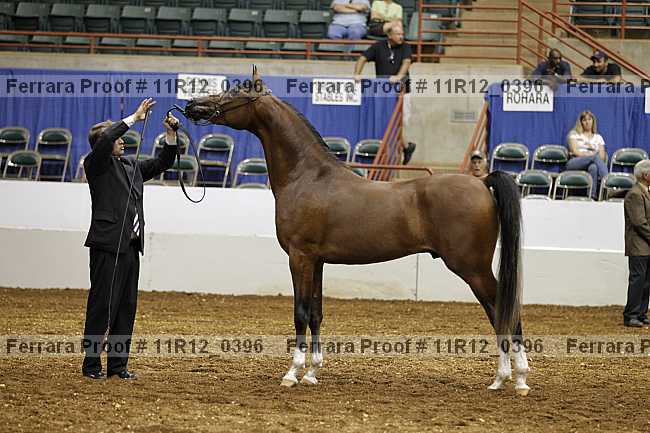 Proof 11r12_0396