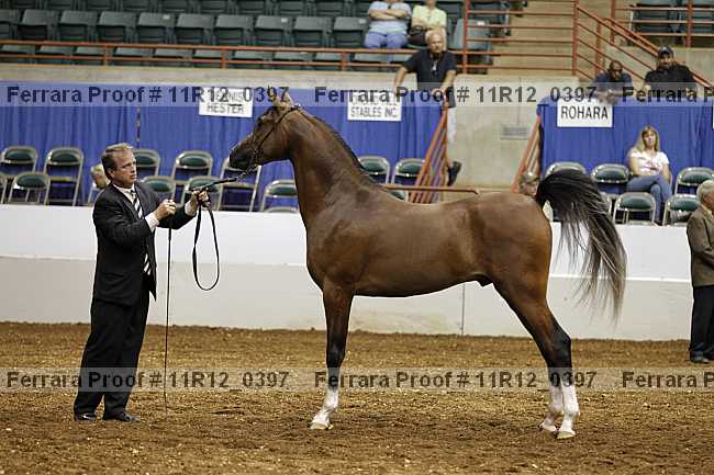 Proof 11r12_0397