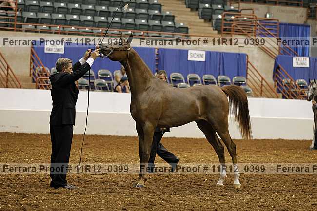 Proof 11r12_0399