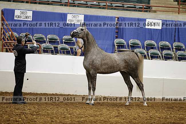 Proof 11r12_0401