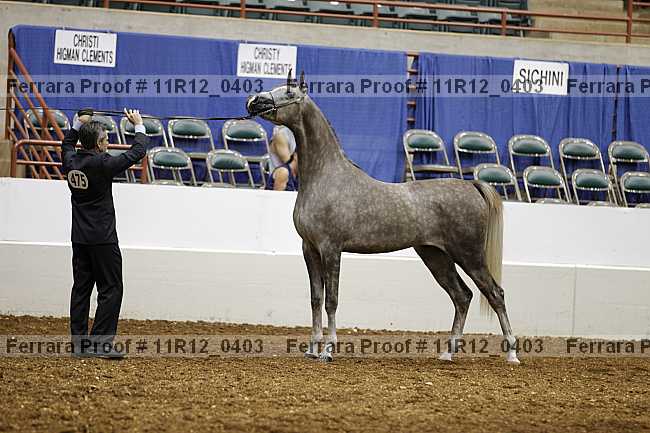 Proof 11r12_0403