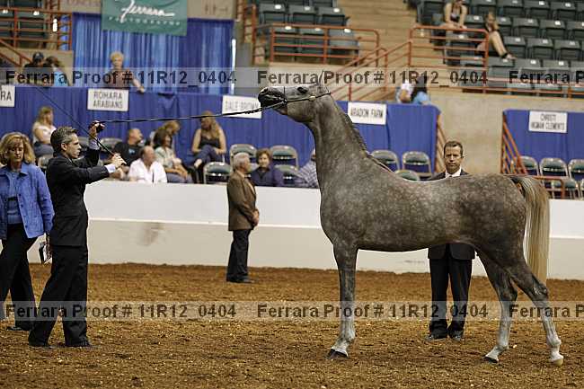 Proof 11r12_0404