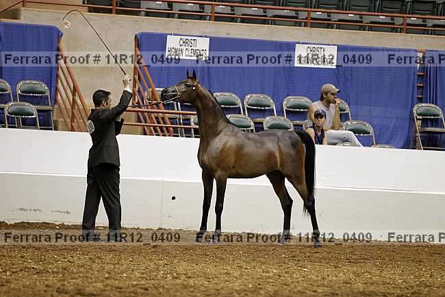 Proof 11r12_0409