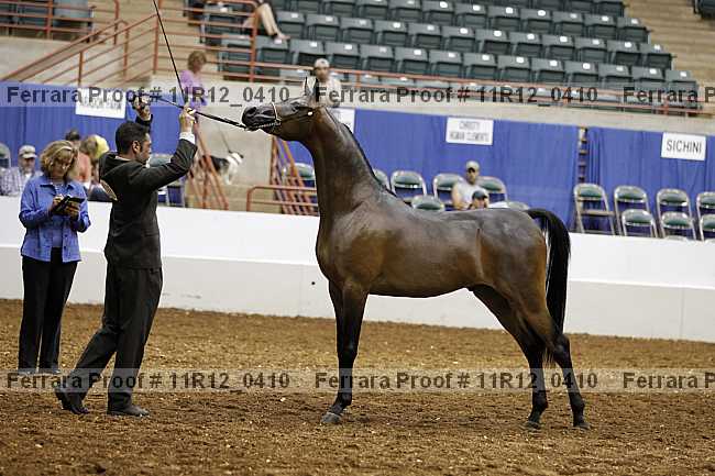 Proof 11r12_0410