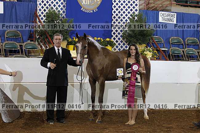 Proof 11r12_0416