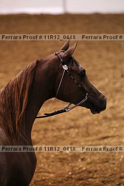 Proof 11r12_0418