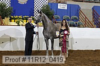 11r12_0419 proof