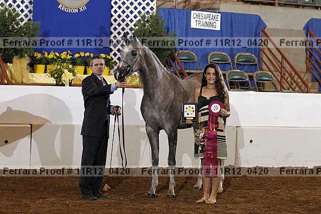 Proof 11r12_0420