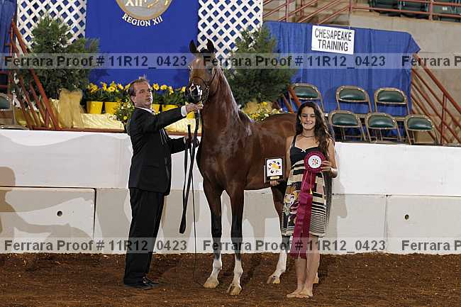 Proof 11r12_0423