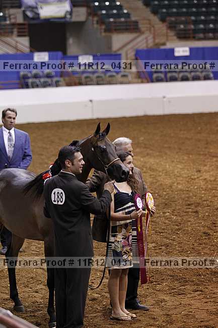 Proof 11r12_0431