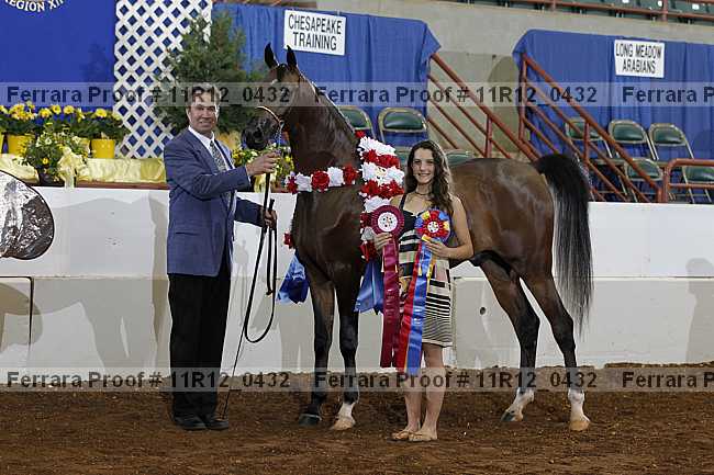 Proof 11r12_0432