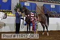11r12_0433 proof