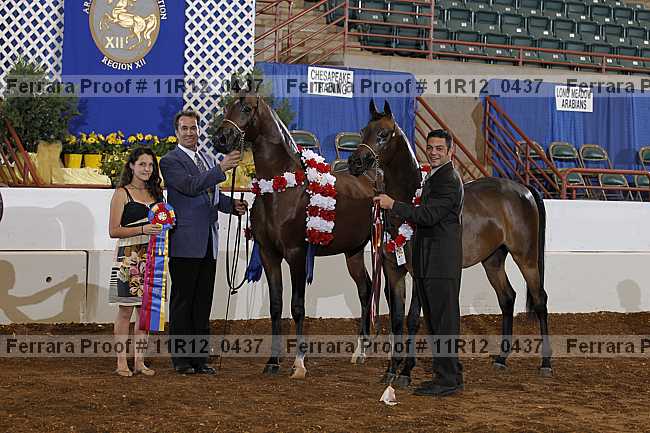 Proof 11r12_0437