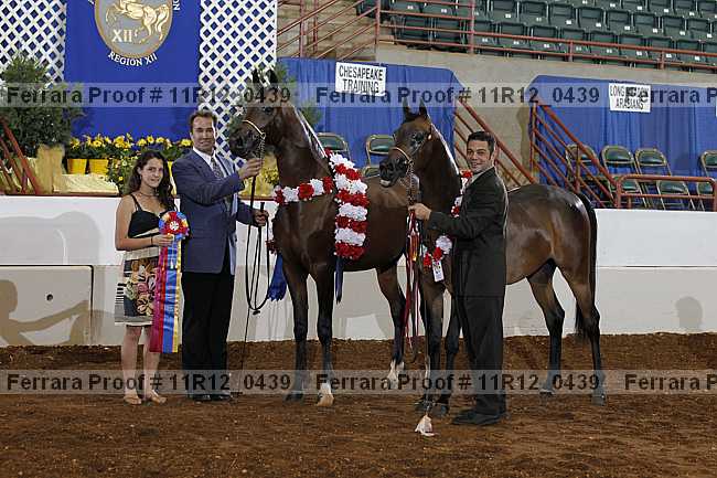 Proof 11r12_0439