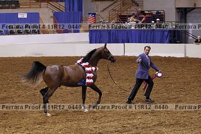 Proof 11r12_0440