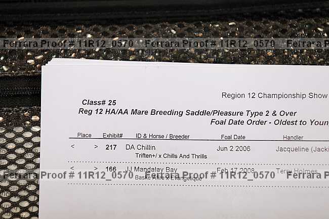 Proof 11r12_0570