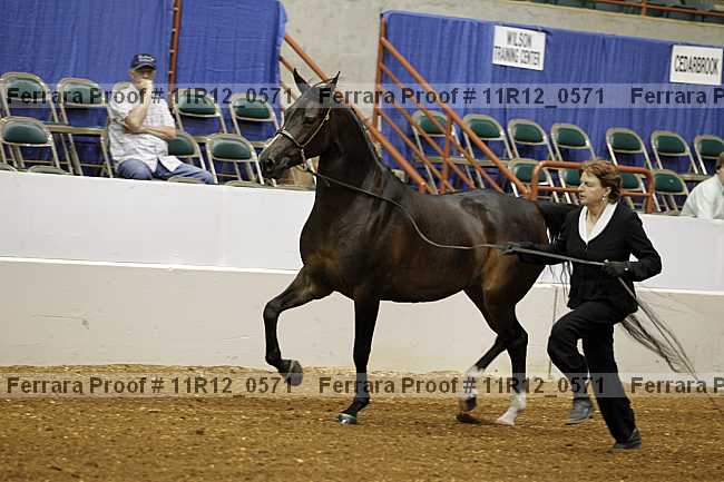 Proof 11r12_0571