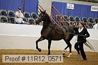11r12_0571 proof
