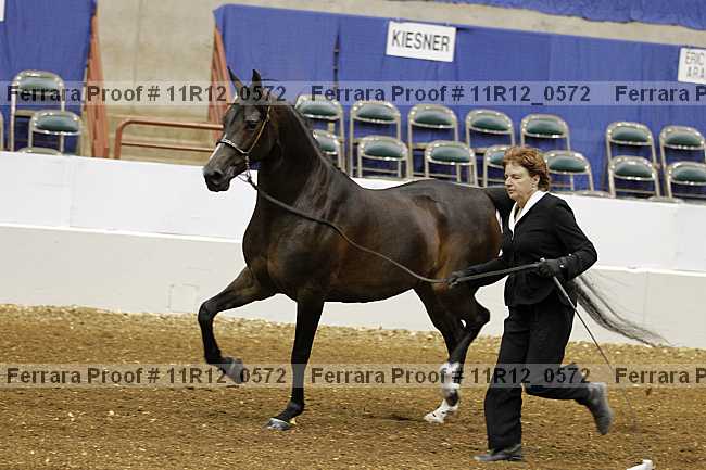 Proof 11r12_0572