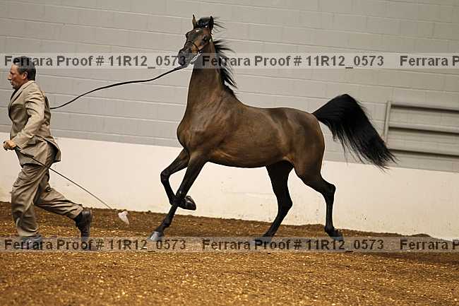 Proof 11r12_0573
