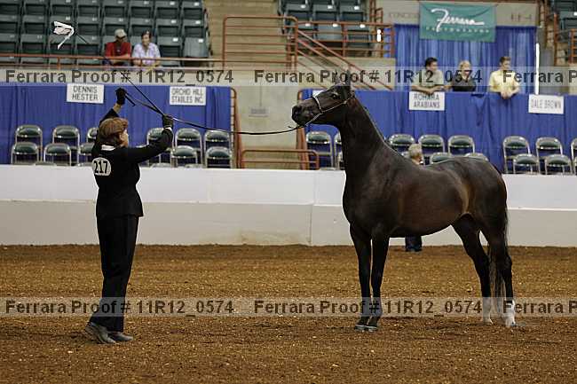 Proof 11r12_0574