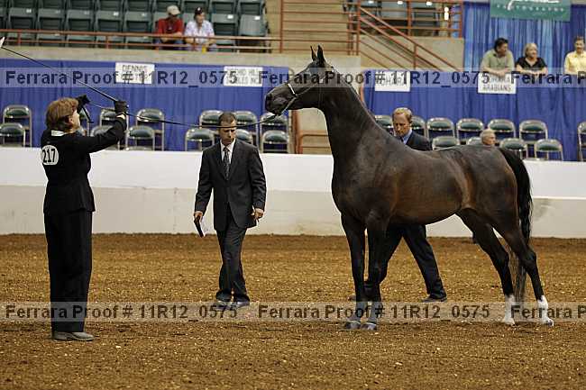 Proof 11r12_0575