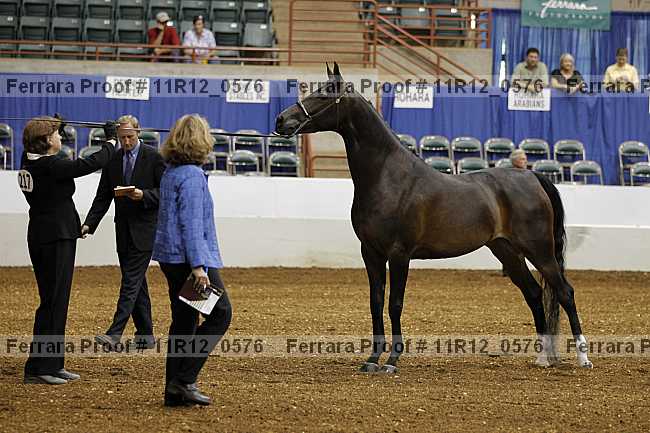 Proof 11r12_0576