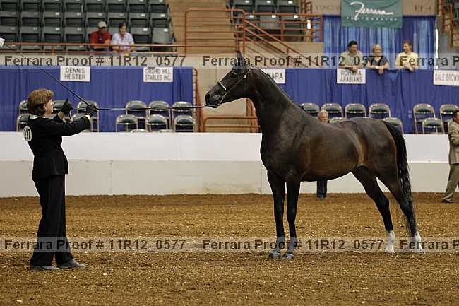 Proof 11r12_0577